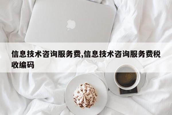 信息技术咨询服务费,信息技术咨询服务费税收编码