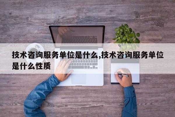 技术咨询服务单位是什么,技术咨询服务单位是什么性质