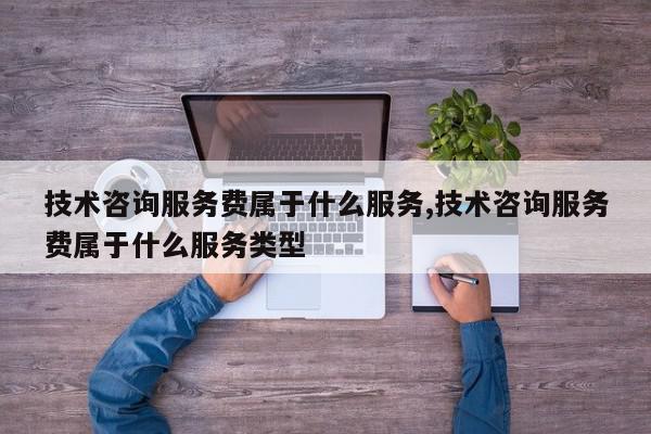 技术咨询服务费属于什么服务,技术咨询服务费属于什么服务类型